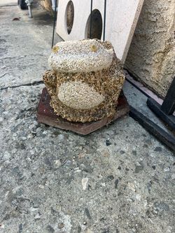 2 Stone Frogs Garden Statue decoration