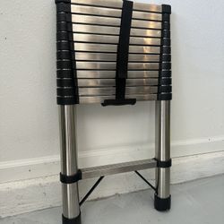 Metal Ladder 12 Ft 5 in
