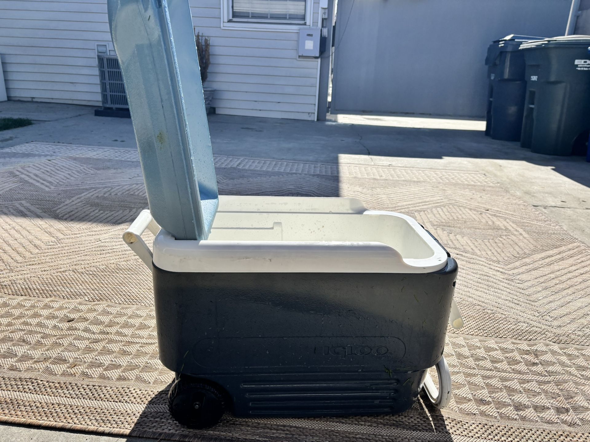 Igloo Cooler $20