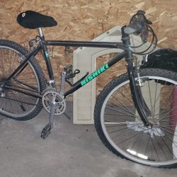 NISHIKI MOUNTAIN BIKE 