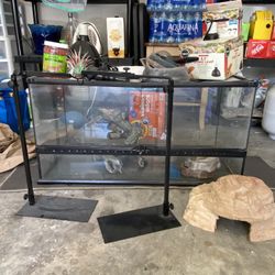 Lizard Terrarium And Accessories 
