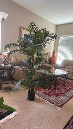 Pam tree