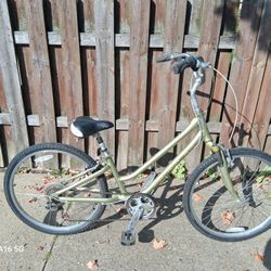 GIANT SUEDE CRUISER BIKE 