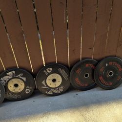 90lb Bumper Plates