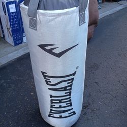 Everlast Punching Bag