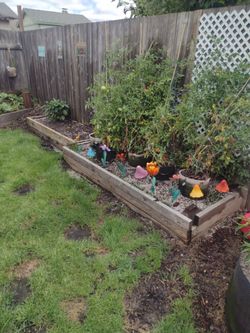 Garden beds