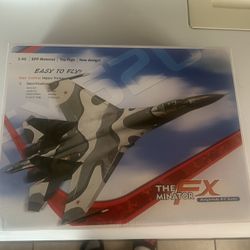 The Minator FX RC Plane