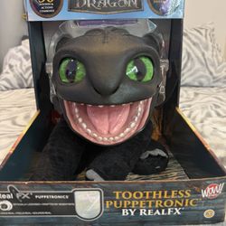 How To Train Your Dragon Toothless