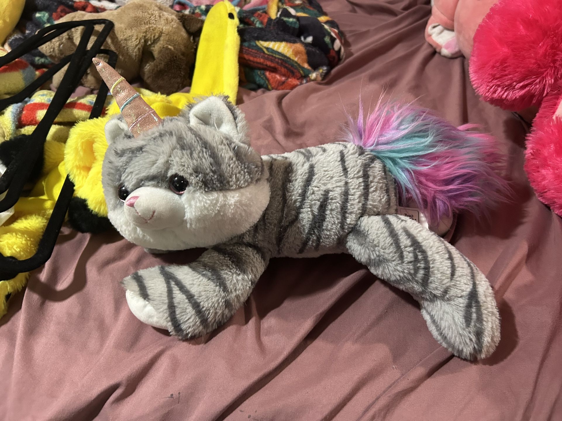 Rainbow Tail Unicorn Cat