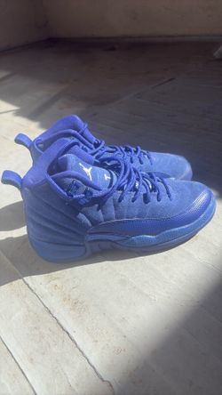 Brand new Jordan 12s
