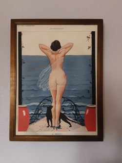Beautiful framed canvas painting
