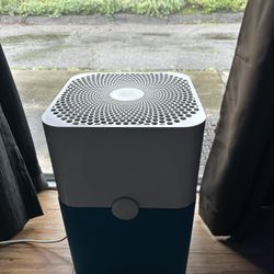 Blue pure 2024 211 sale