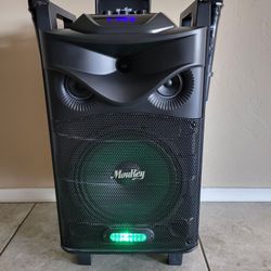 Karaoke Machine With 2 Mics