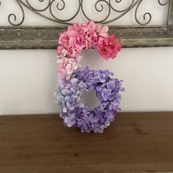 Encanto Birthday. Number 6