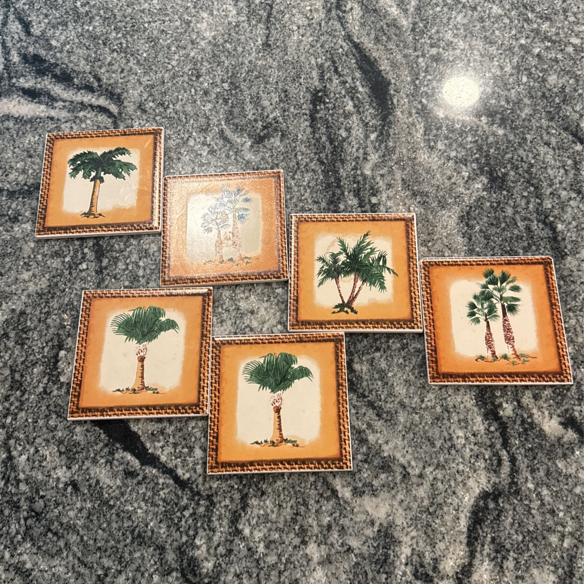 6 Piece Palm Tree Coaster Set