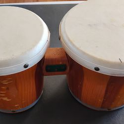 Bongo Drums
