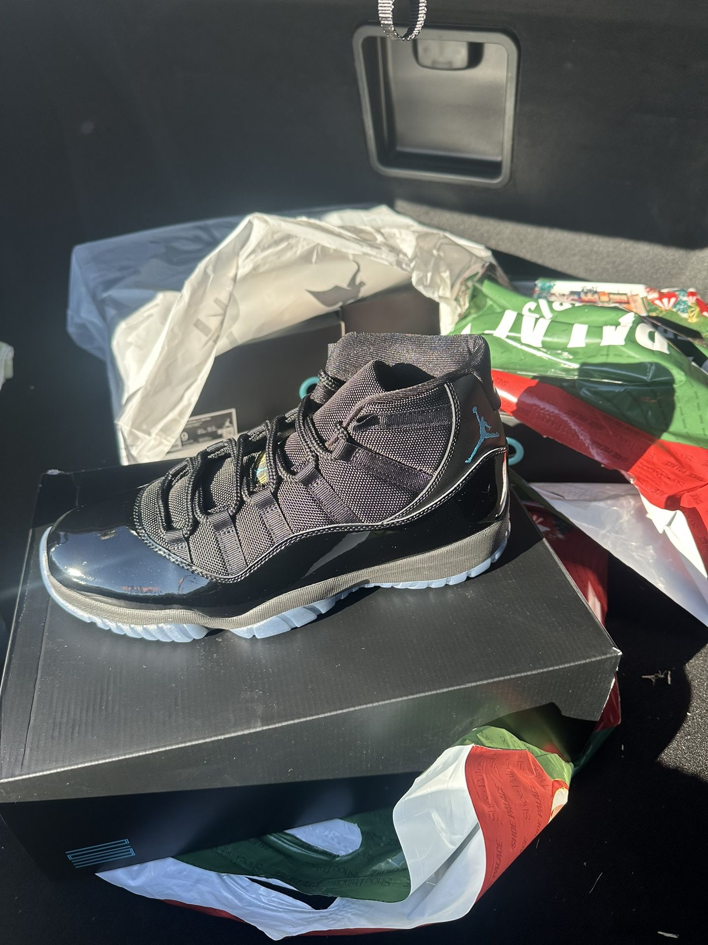 Gamma 11 Size 12