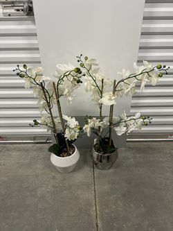 White & Silver Orchid Floral Arrangements 