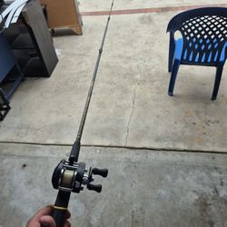 Diawa fishing rod with reel