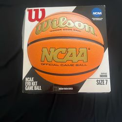 Wilson Evo Nxt Basketball 