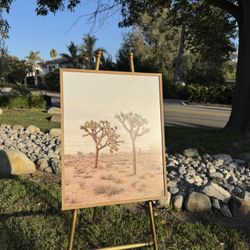 Joshua Tree Framed Print 24 x 30 Threshold Desert Dream Landscape Native California National Park 
