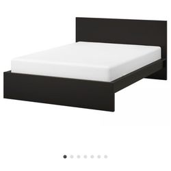 IKEA MALM Bed frame, black-brown, King