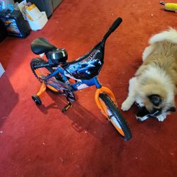 Hot Wheels Boys Bike For Pickup In WEST PHILLY 