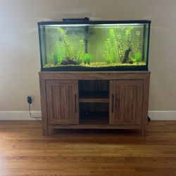 Large Fish Tank 4ft By 1ft 