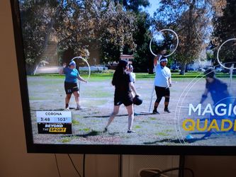 46"  Insignia flat-screen