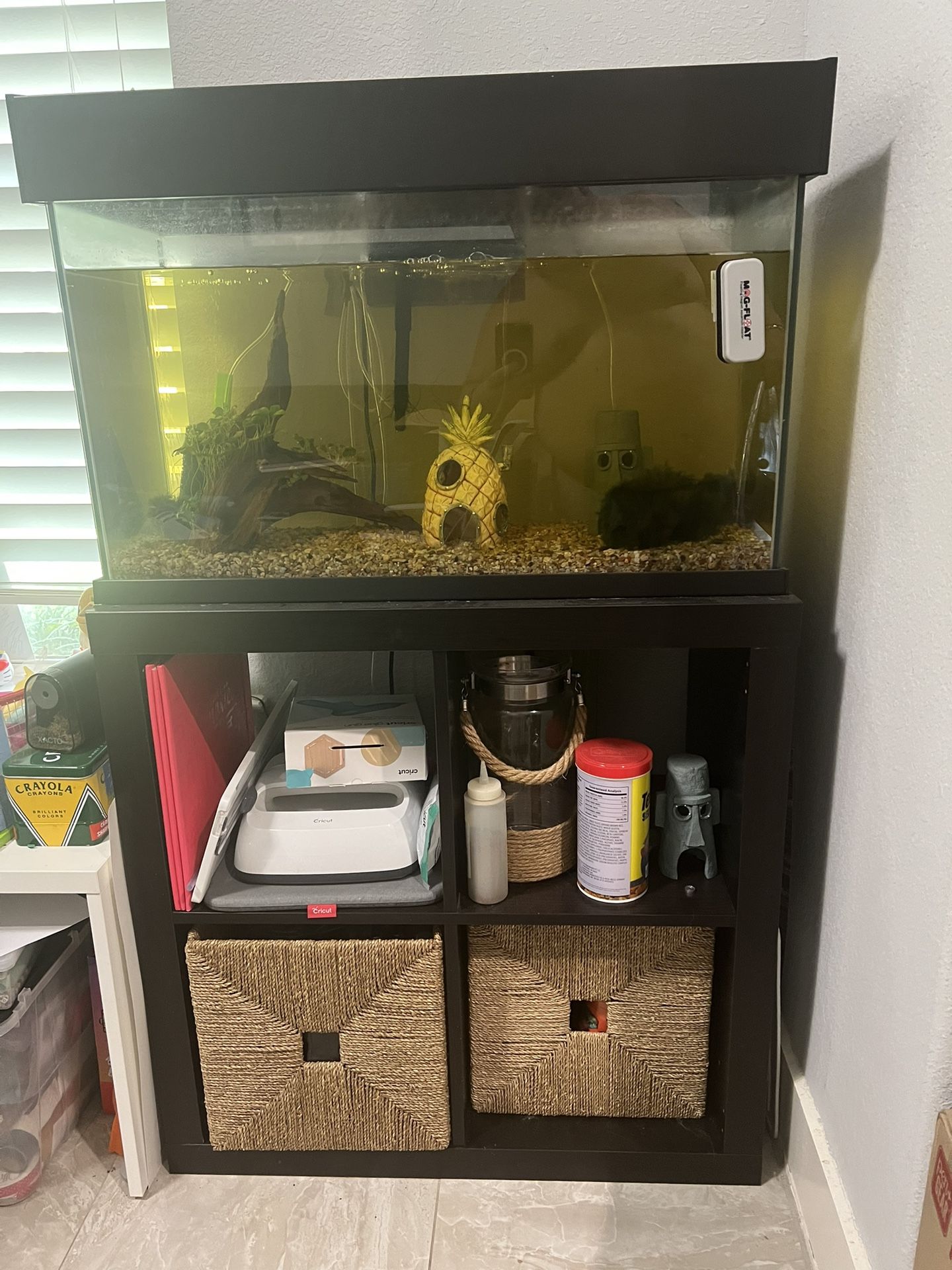 30 Gallons Fist tank/ Aquarium, stand and accessories