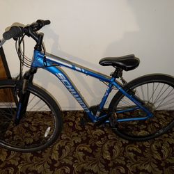 Blue Adult Bicycle 