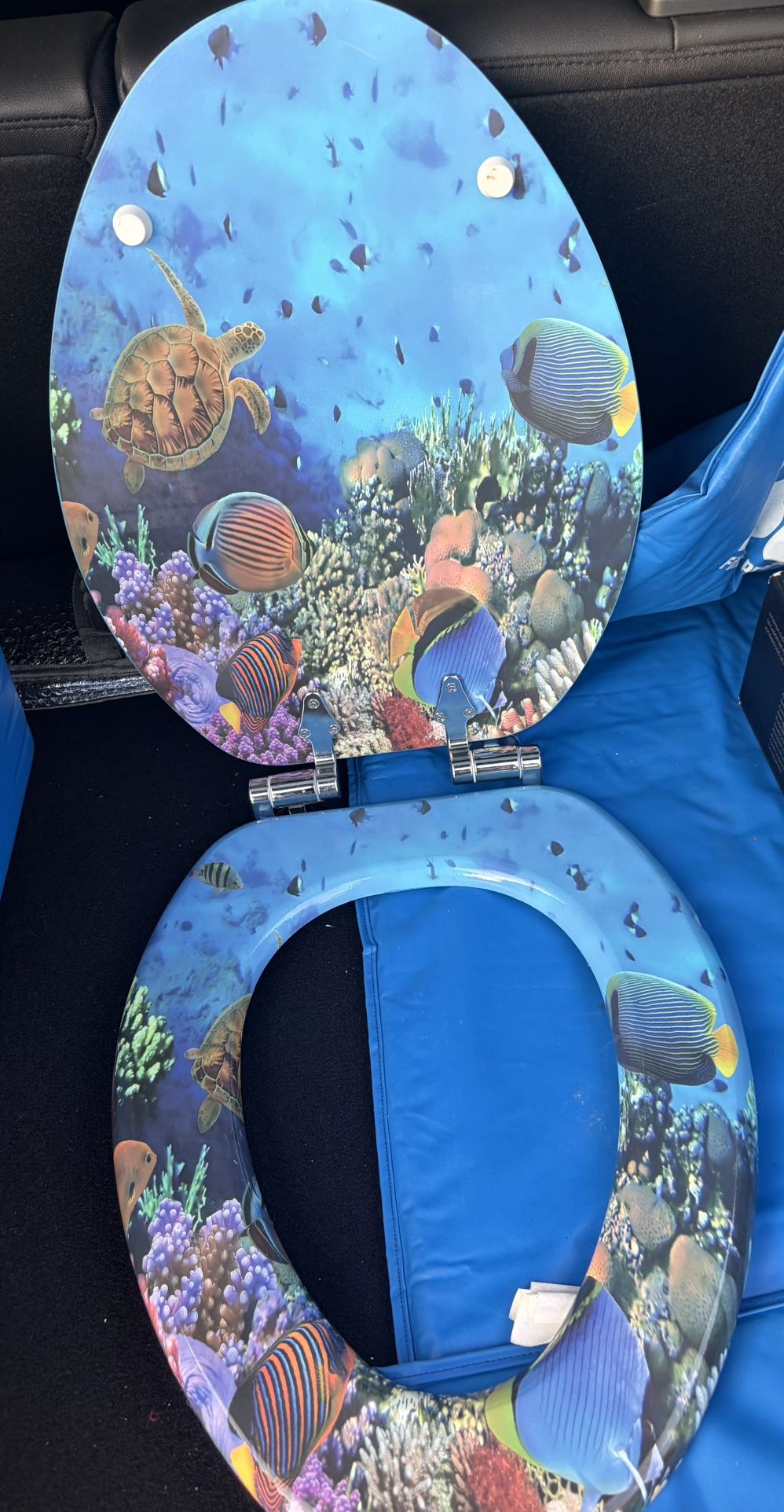 (New)Sea Toilet Seat W/lid