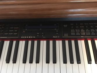 Kurzweil 2024 mark 12