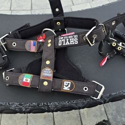 Customize dog caller