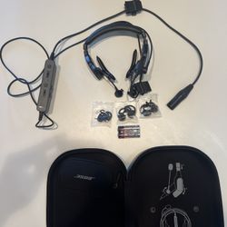 Bose pro series online 2