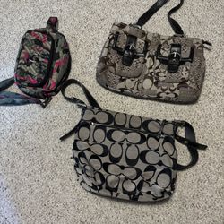 Coach Purses