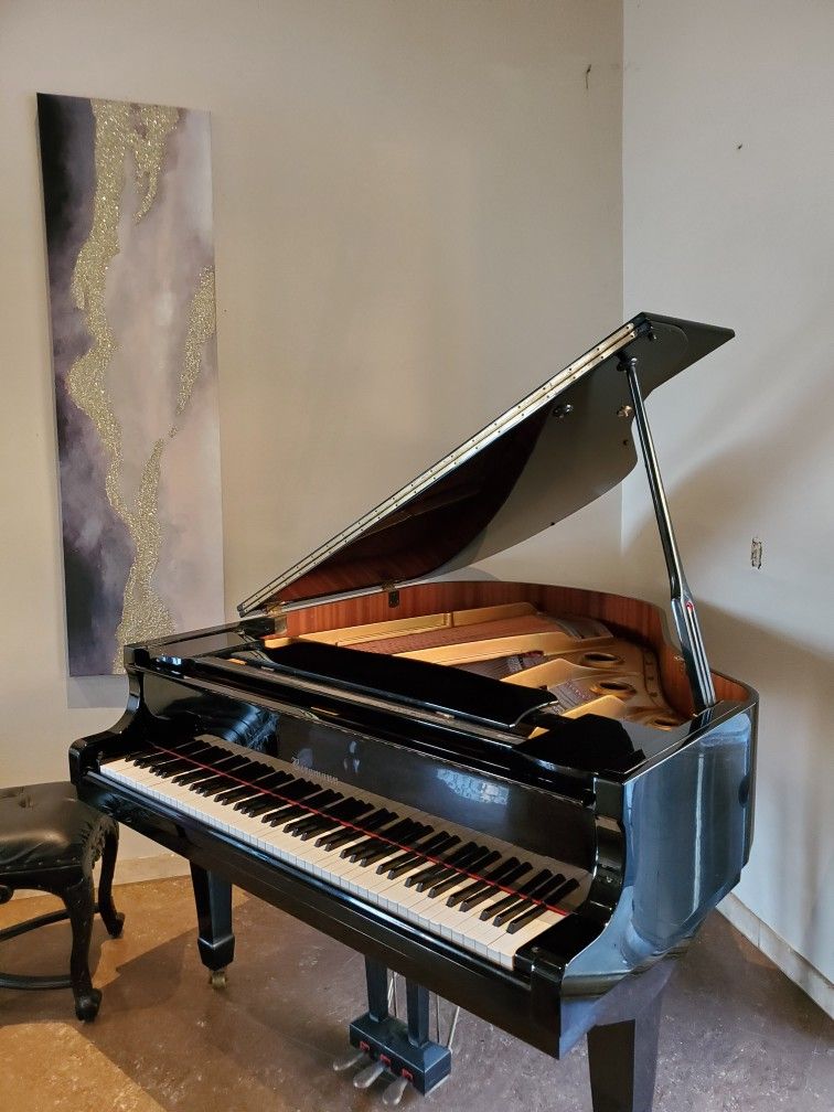 Bergman Baby Grand Piano By Young Chang