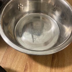 Dog Plate