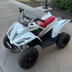 Razor Dirt Quad 500 - 36V Electric 4-Wheeler