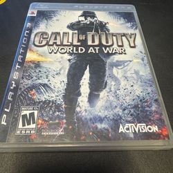 Call Of Duty World At War