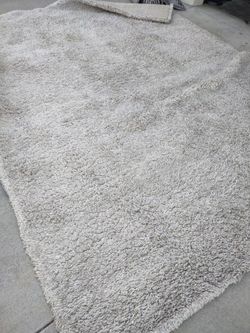Shag Rug 8 X 10 Used, Needs Cleaning
