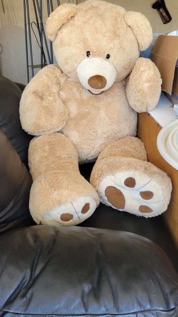 Giant Teddy Bear Costco 