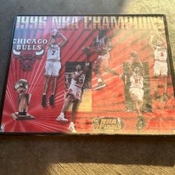 1996 Bulls Champions Poster
