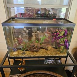 30 gallon fish aquarium 
