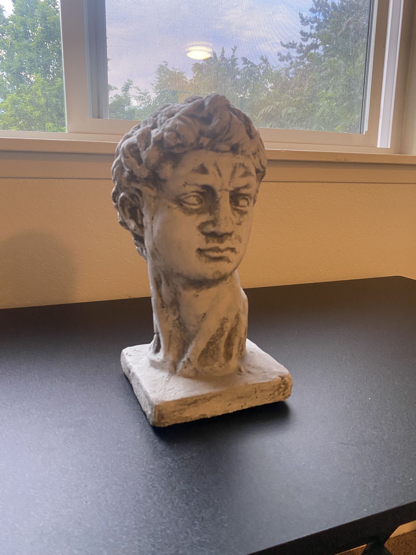Statue Of David (Stone Statue)