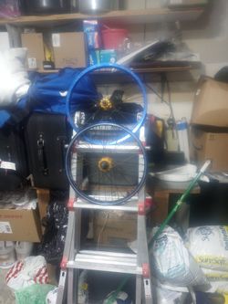 20" Revenge Wheelset