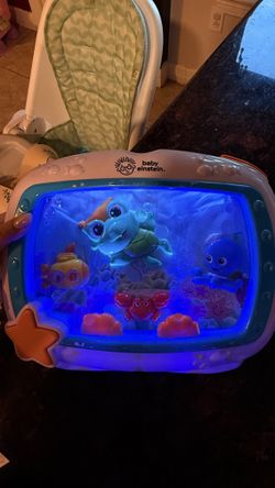 Bay Einstein aquarium
