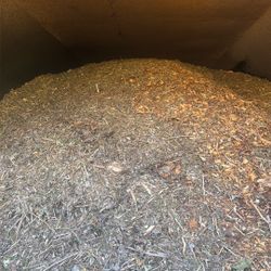 Wood Chips 