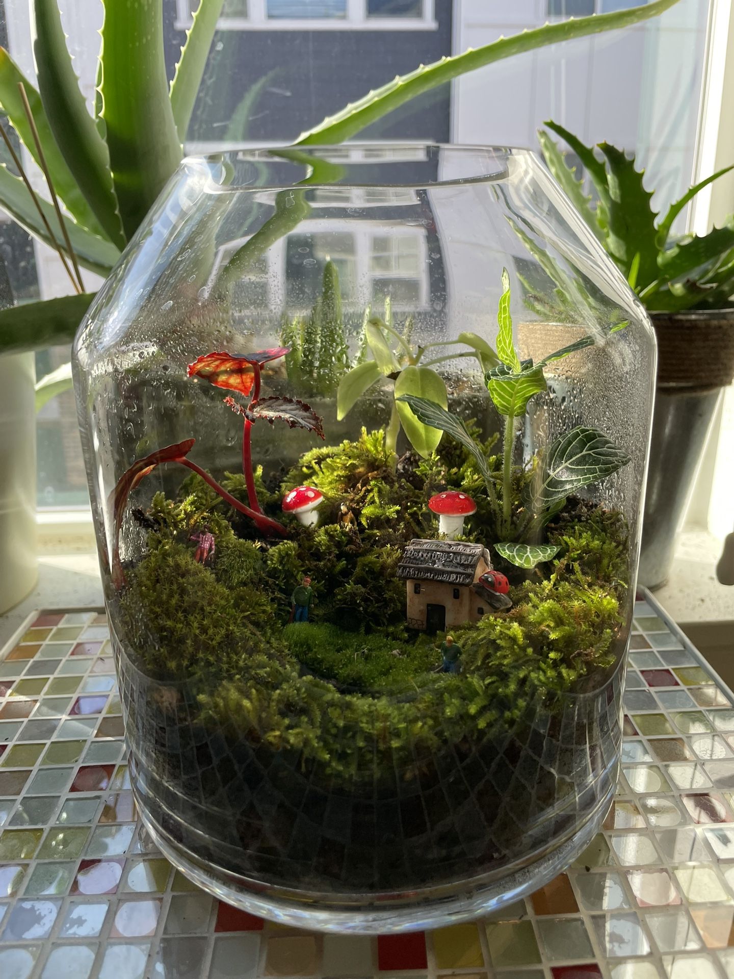 Fairy Village Terrarium With People And Mushroom