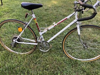 Spartan 12 speed bike